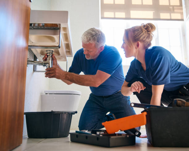 Best Local Plumber Services  in Olivet, MI