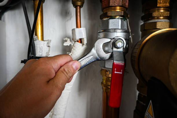 Best Plumbing Inspection Services  in Olivet, MI